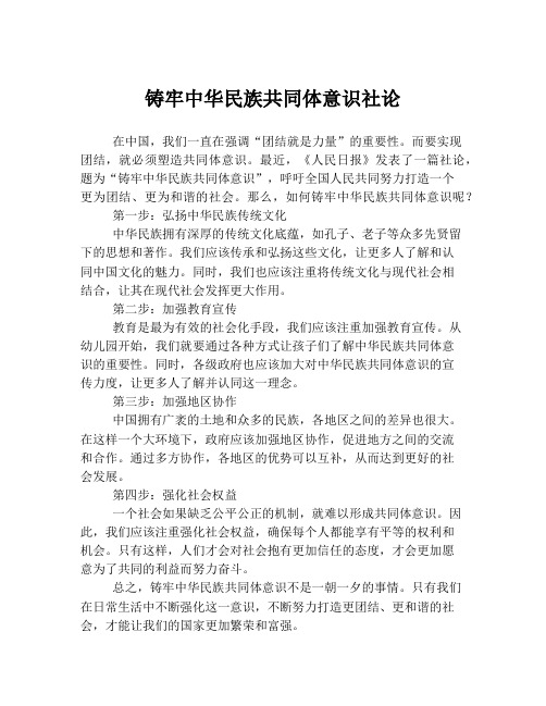 铸牢中华民族共同体意识社论