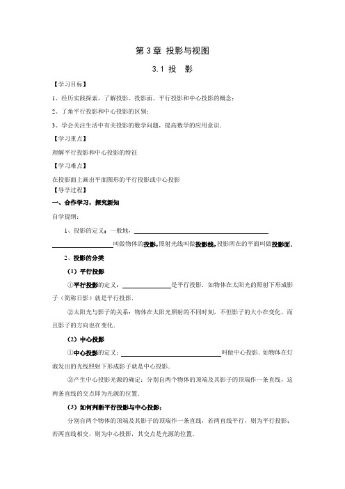 最新湘教版初中数学下册 3.1 投影1(2)