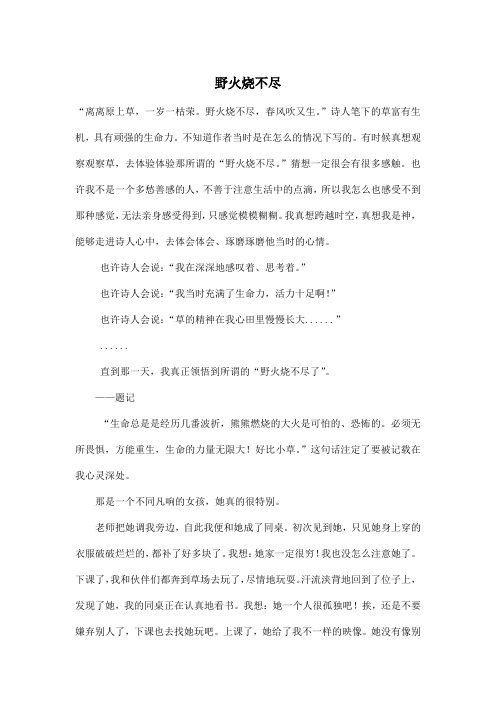 野火烧不尽_小学六年级作文2100字