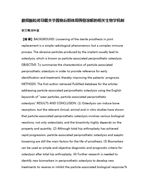 磨损颗粒诱导髋关节置换后假体周围骨溶解的相关生物学机制