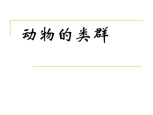 1、原生动物、海绵动物、腔肠动物