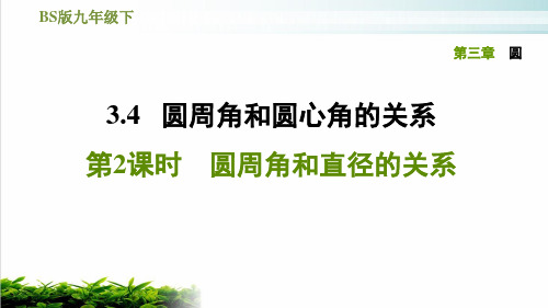 北师大版九年级下册数学习题PPT课件3.4.2圆周角和直径的关系