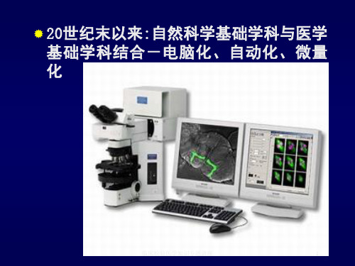 临床检验医学知识专题讲座培训课件