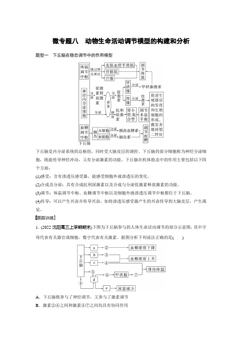 2023年高考生物一轮复习(新人教新高考) 第8单元 微专题八 动物生命活动调节模型的构建和分析