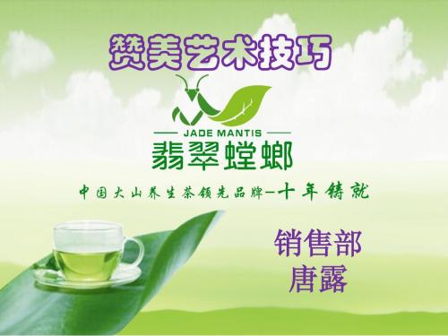 赞美的艺术与技巧