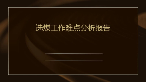 选煤工作难点分析报告