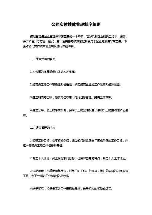 公司实体绩效管理制度细则