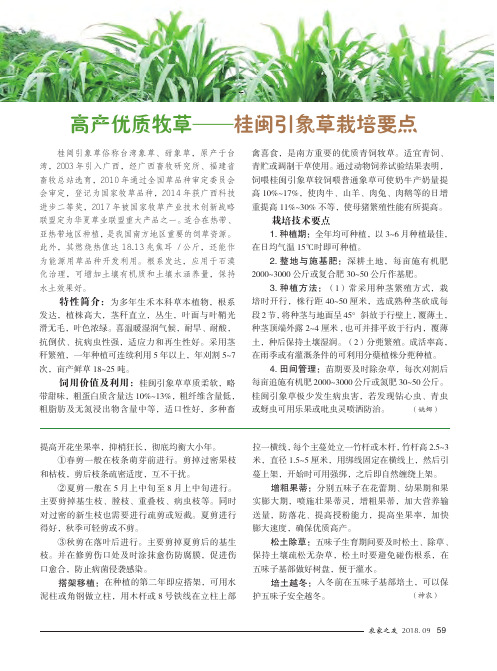 高产优质牧草——桂闽引象草栽培要点