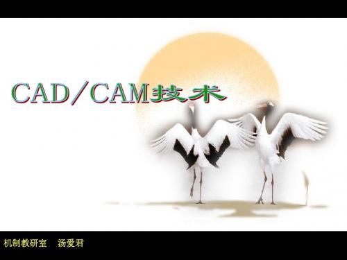 CADCAM 第七章  逆向工程技术