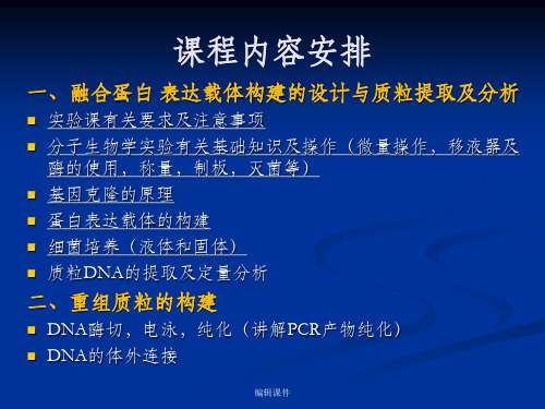 实验一 融合蛋白表达载体构建的设计与质粒提取与分析