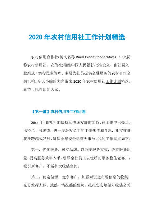 2020年农村信用社工作计划精选