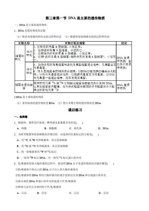 高一生物必修二第三章知识点加练习题(含答案)