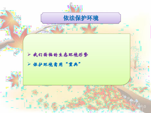 鲁人版九年级道德与法治上册 第七课 依法保护环境 复习课(18张幻灯片)