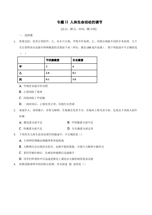 专题11 人体生命活动的调节-2020年中考生物三轮复习必刷题(含答案和解析)