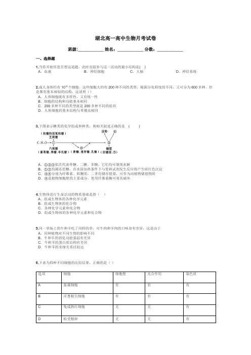 湖北高一高中生物月考试卷带答案解析
