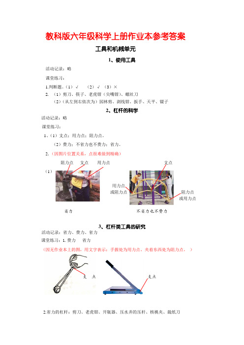 教科版六年级科学上册作业本参考答案