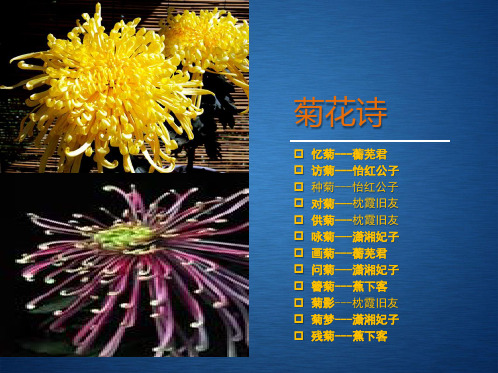 红楼梦菊花诗