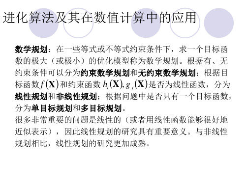 进化算法及其在数值计算中的应用