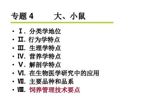 大小鼠解剖生理特点