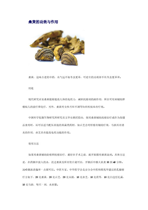 桑黄的成效与作用