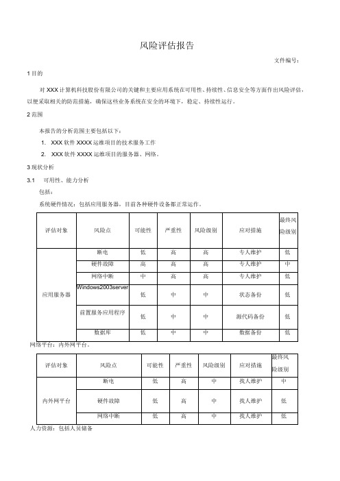 风险评估报告