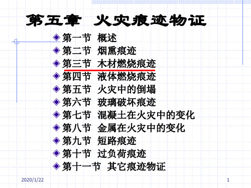 第三节木材燃烧痕迹第3节
