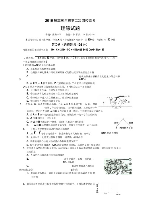 2016届高三年级理科综合试题(DOC)