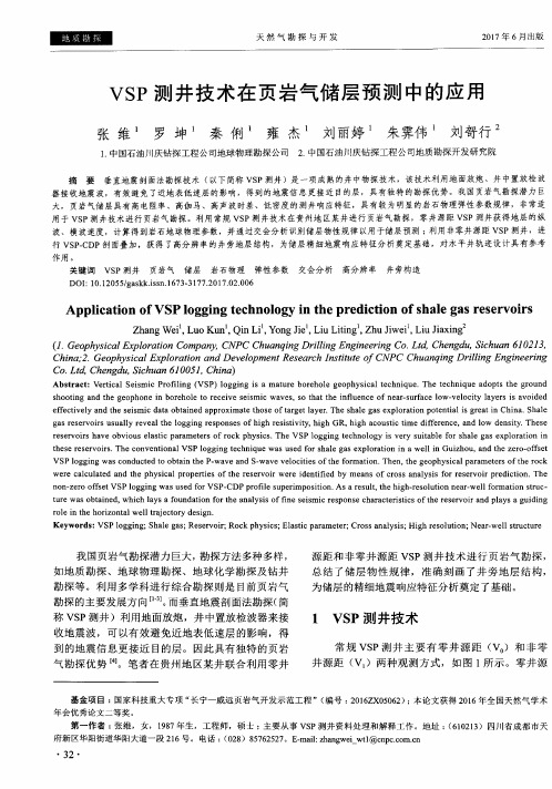 VSP测井技术在页岩气储层预测中的应用