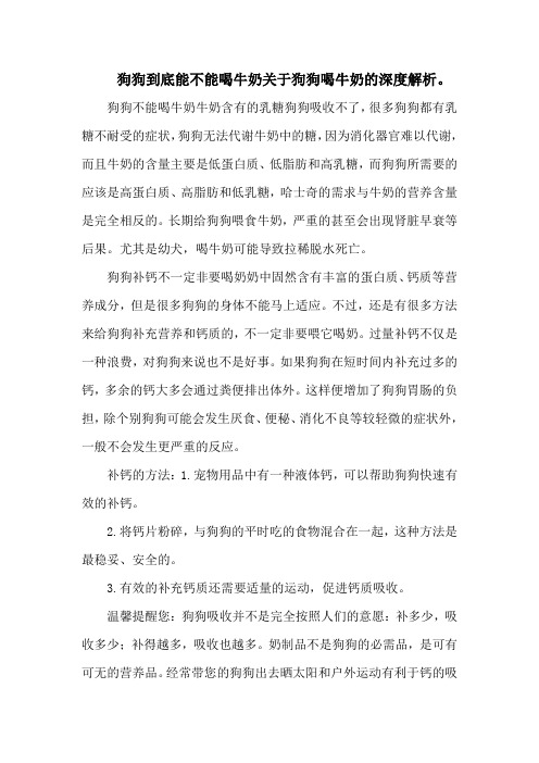 狗狗到底能不能喝牛奶关于狗狗喝牛奶的深度解析