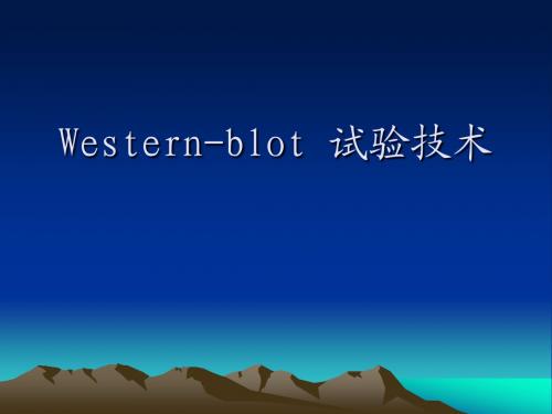 Western-blot_试验技术