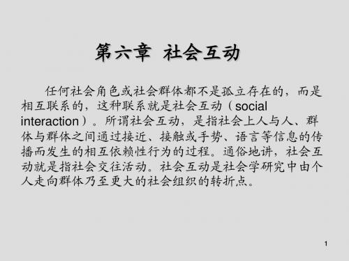 现代社会学第六章  社会互动