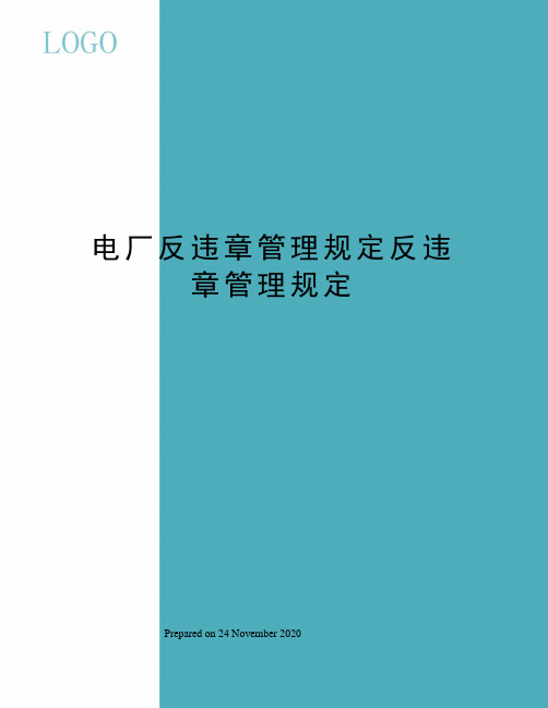 电厂反违章管理规定反违章管理规定