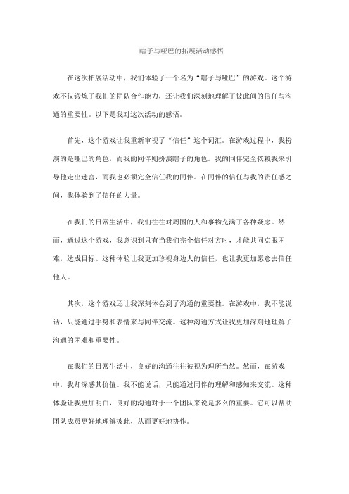 瞎子与哑巴的拓展活动感悟