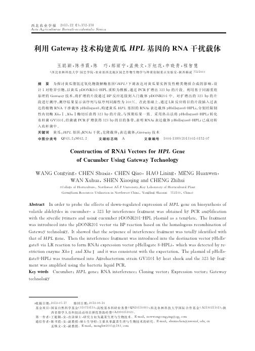 利用Gateway技术构建黄瓜HPL基因的RNA干扰载体_王聪颖