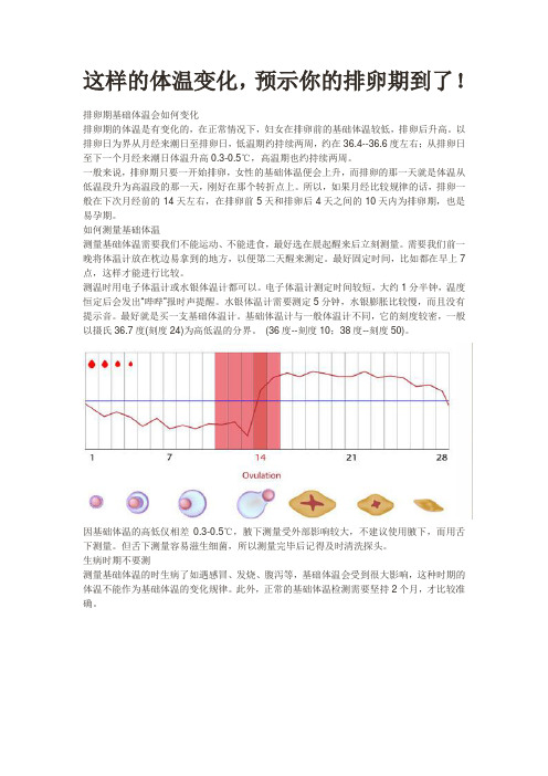 排卵期备孕妈妈会有怎样的体温变化？