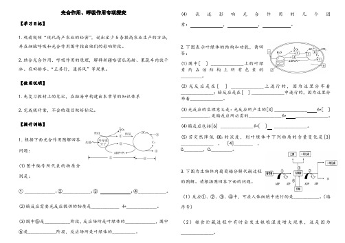 高中高一生物必修一光合作用、呼吸作用综合测试题练习题