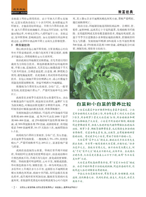 小白菜的营养比较
