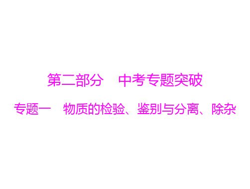 第二部分 专题一 物质的检验、鉴别与分离、除杂-广东中考复习化学课件(共24张PPT)