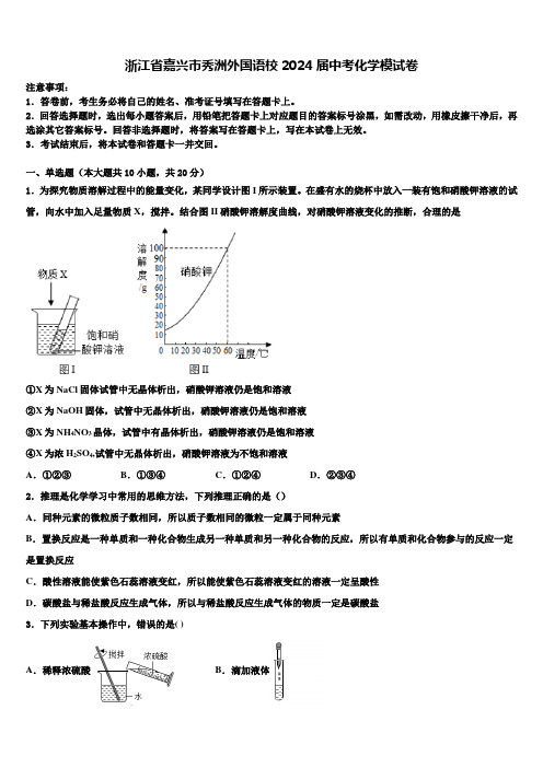 浙江省嘉兴市秀洲外国语校2024届中考化学模试卷含解析