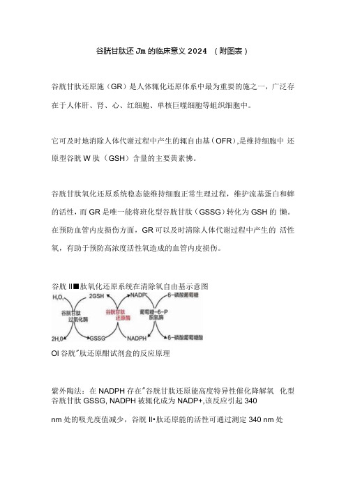 谷胱甘肽还原酶的临床意义2024(附图表).docx