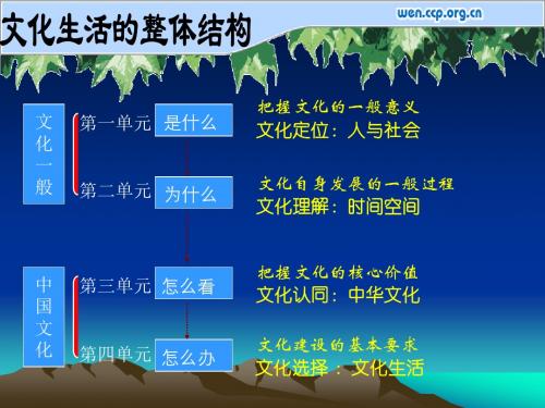 高中《文化生活》第一课1.1体味文化