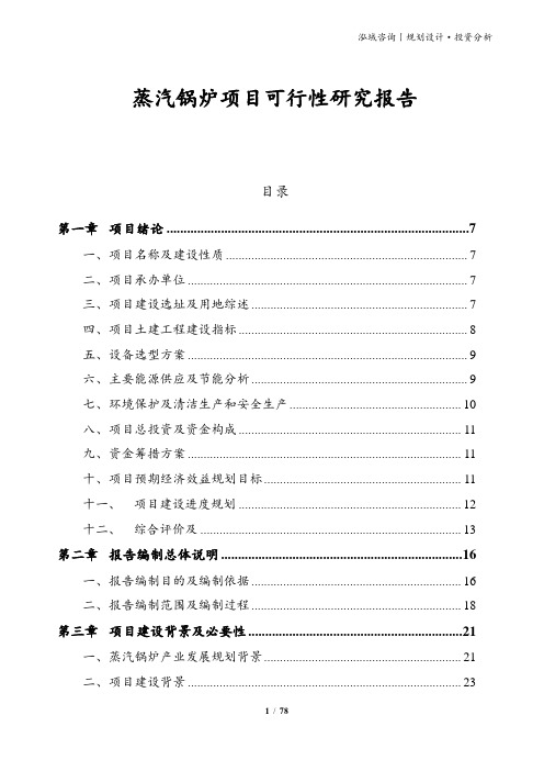 蒸汽锅炉项目可行性研究报告