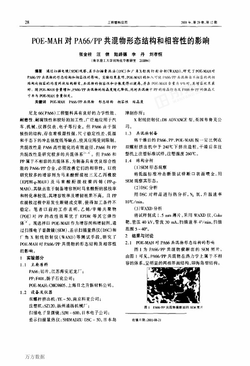 POEMAH对PA66PP共混物形态结构和相容性的影响