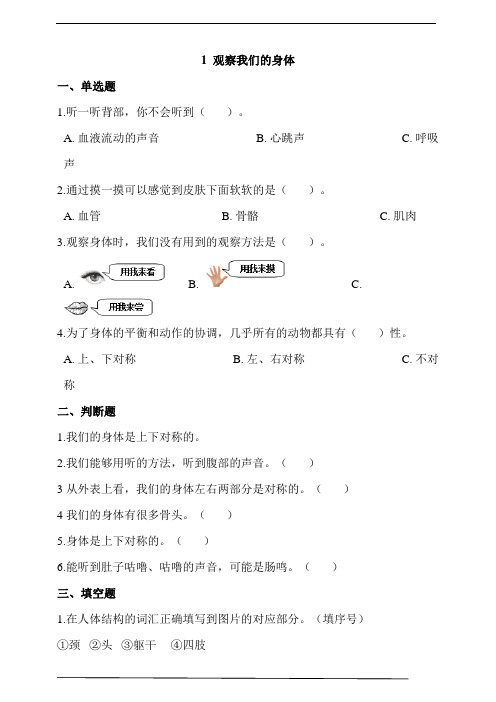 教科版二年级科学下册2.1 观察我们的身体  同步练习 (含答案解析)