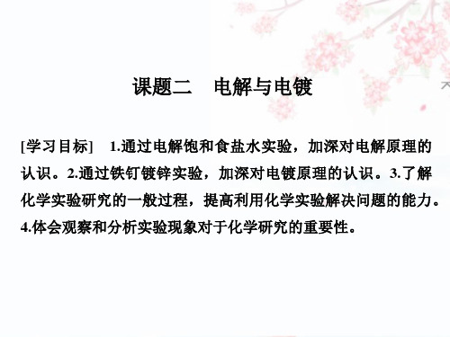 2018-2019版高中化学(苏教专用)新设计同步选修六课件：专题五 电化学问题研究 课题二