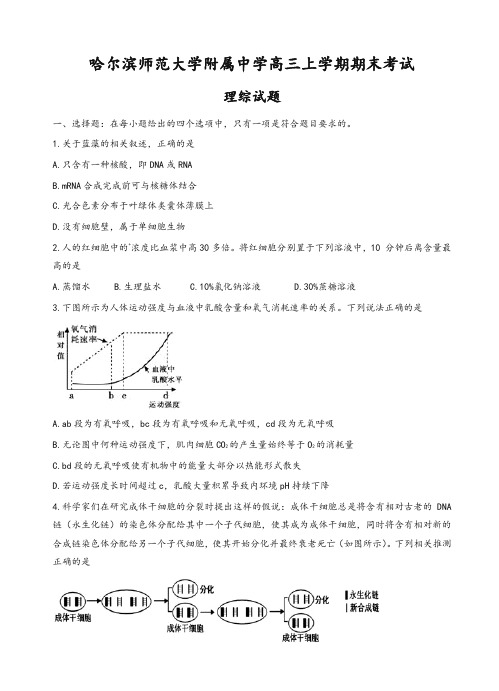 黑龙江省哈尔滨师大附中高三上学期期末考试理综试卷(有答案)-精华版