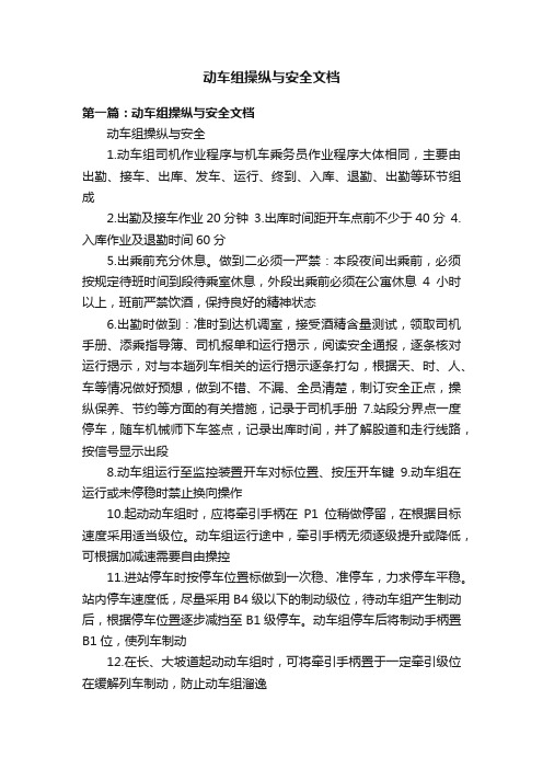 动车组操纵与安全文档