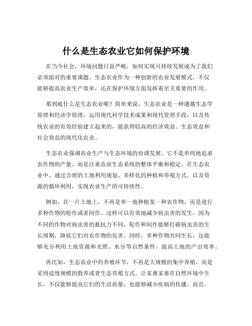 什么是生态农业它如何保护环境