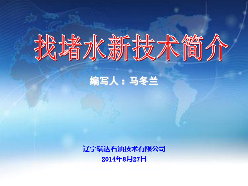 找堵水技术简介20149综述资料.