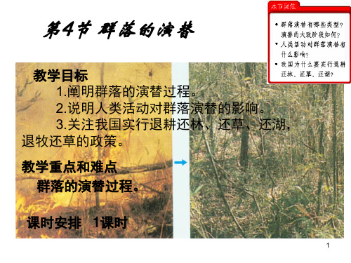 必修3 稳态与环境4.4 群落的演替(34张)